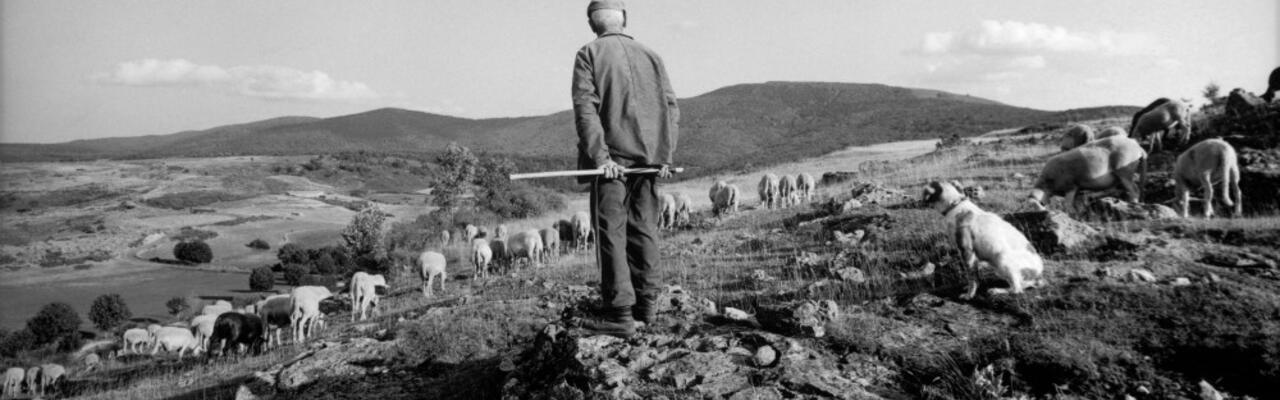 Cinéma et monde paysan